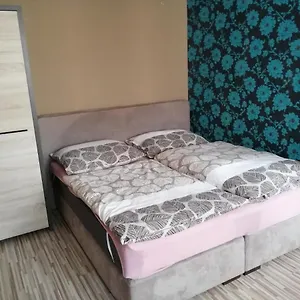 Apartment 1+1 V Karlovych Varech, Karlsbad